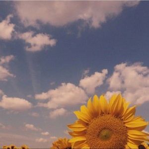 Meet your Posher, Serena